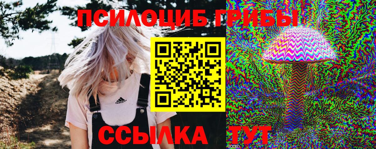Галлюциногенные грибы MAGIC MUSHROOMS Лесосибирск